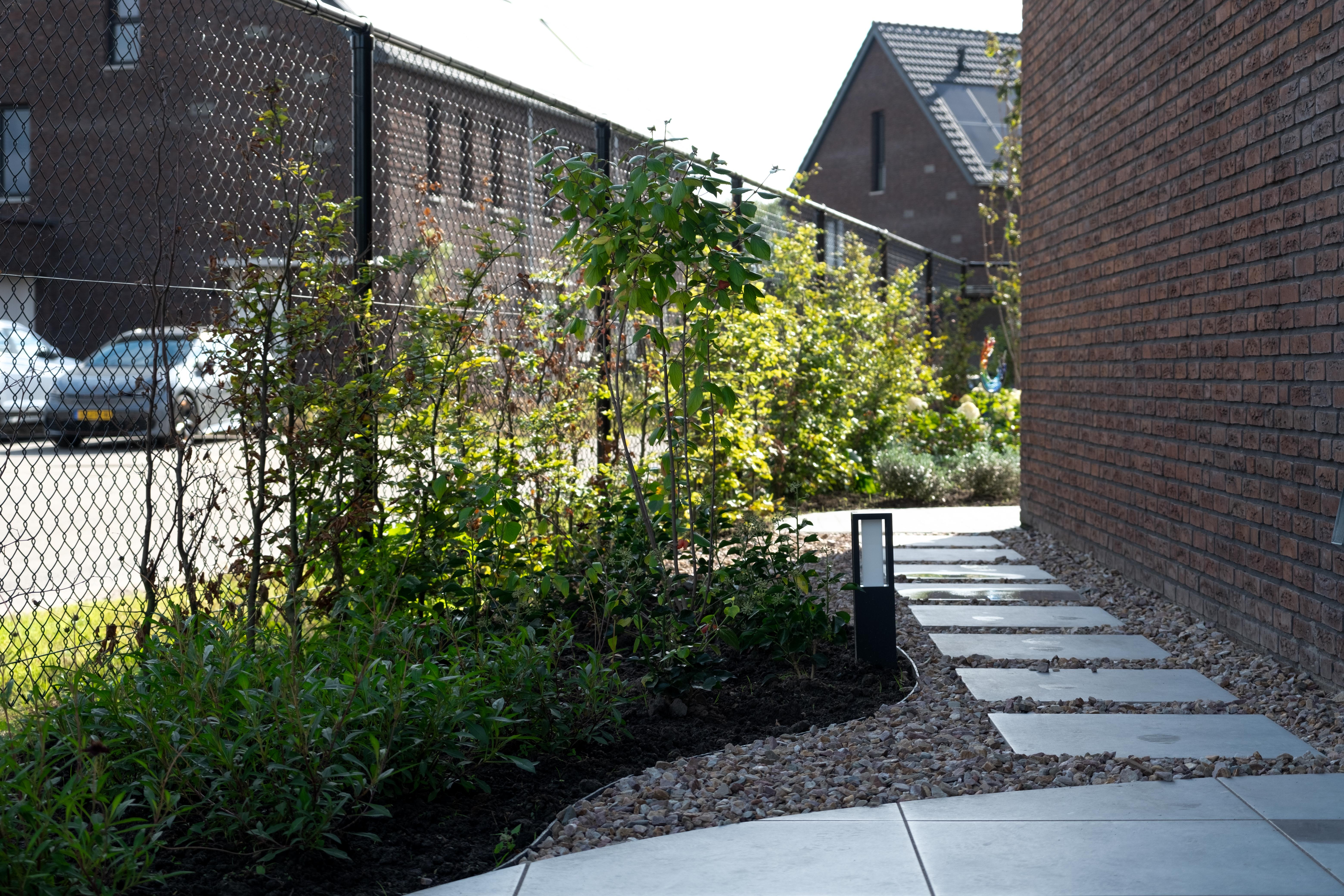 Achtertuin met roestbakken